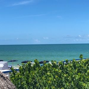 Meet your Posher, Rhonda